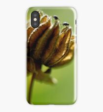 small world iPhone Case