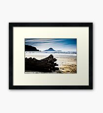 Drift wood on Ohope beach New Zealand Framed Print