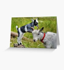 Can I have a Ride Mom !! Greeting Card
