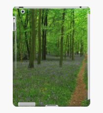 Deciding which path to take! iPad Case/Skin