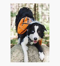 Goofy Girl Photographic Print