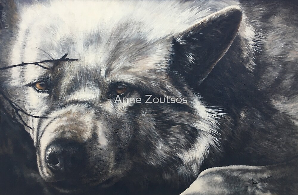 The Wolf by Anne Zoutsos