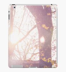 Shine iPad Case/Skin