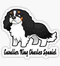 Cavalier Collection - Tricolour Sticker