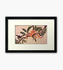 Kumquat paradise Framed Print