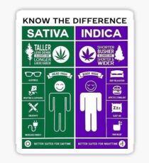 Pegatina Explicación de marihuana