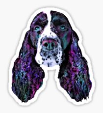 Space-springer Sticker