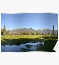 Great moose habitat Poster
