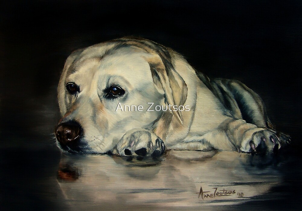 Yellow Labrador by Anne Zoutsos