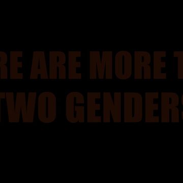 there are more than two genders shirt meme