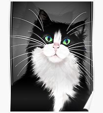 TUX-Tuxedo cats rock Poster