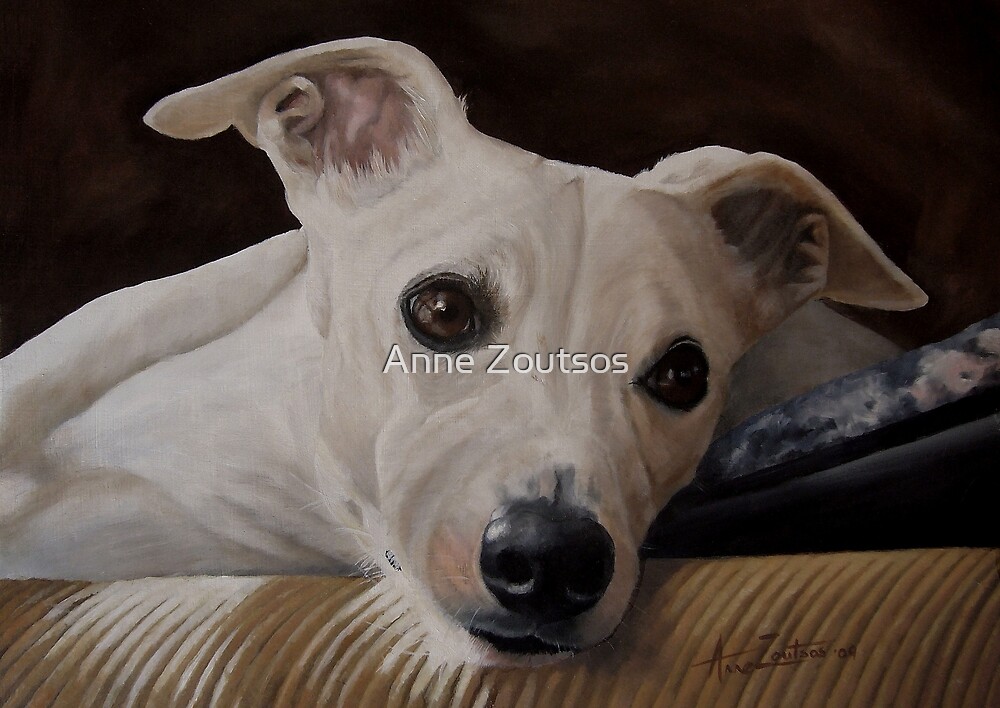 Whippet At Rest by Anne Zoutsos