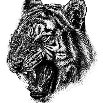 Amur tiger face big cat ink illustration T-Shirt by Loren Dowding