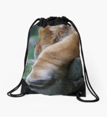 Watchdog Drawstring Bag