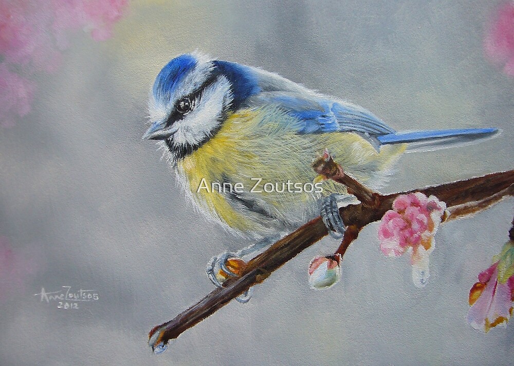 Blue Tit with Blossom by Anne Zoutsos