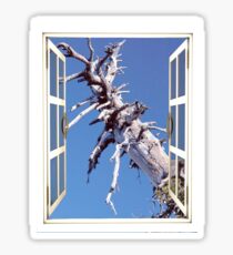Barren Sticker