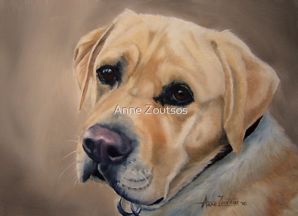 Labrador Expression by Anne Zoutsos