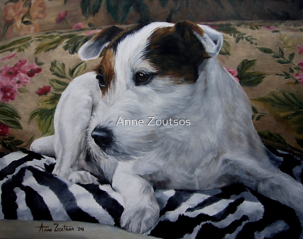 Ditto - Jack Russell Terrier by Anne Zoutsos