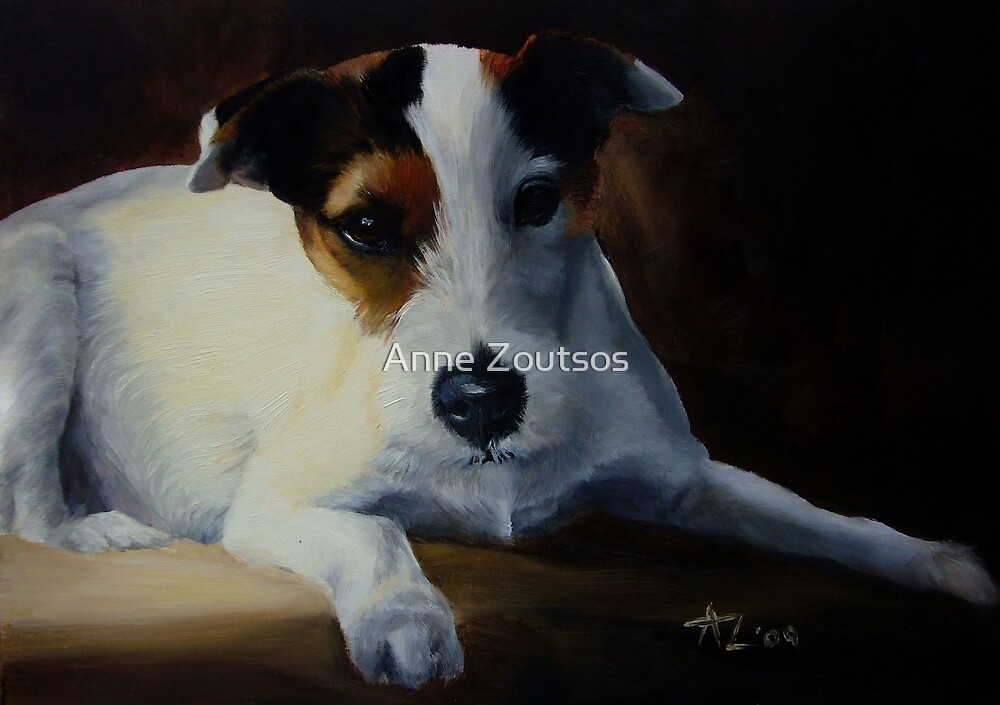 Parson Jack Russell Terrier by Anne Zoutsos