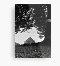 At The Lake Metal Print