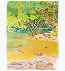 Creek Mouth, Port Douglas Poster