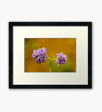 stay together Framed Print