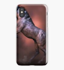 Wildfire iPhone Case/Skin