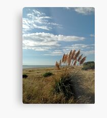 Kapiti days Metal Print