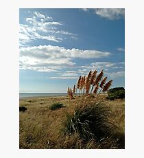 Kapiti days Photographic Print