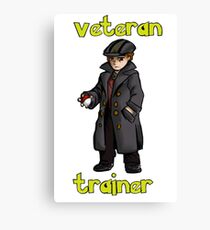 veteran trainer Canvas Print