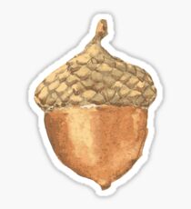 Acorn Watercolor Like Brown Sticker