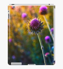 DSC_3588 iPad Case/Skin