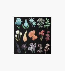 Bloom Art Board