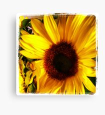 THE SUNFLOWER Canvas Print