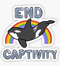 Orca Sticker