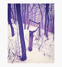Forest Fence Photographic Print