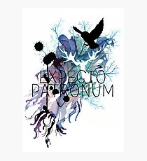 EXPECTO PATRONUM HEDWIG AQUARELL Fotodruck