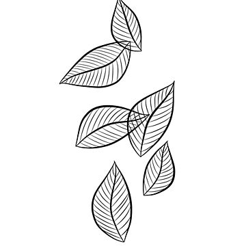 Tropical leaves line art. Monstera leaf outline, doodle jungle ferns a By  WinWin_artlab | TheHungryJPEG