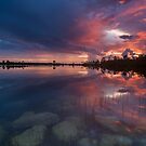 Colors of Summer by PeaceInArt