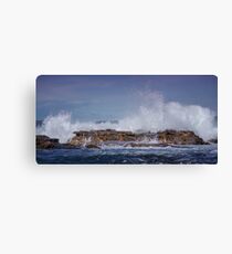 Force... Canvas Print
