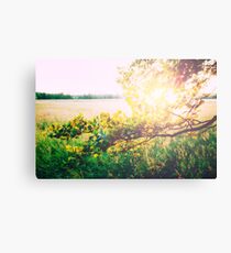 nature back light love Canvas Print
