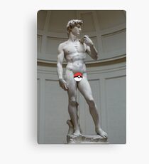 Poké ball David Canvas Print