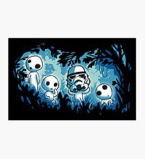 Forest Guardians Photographic Print
