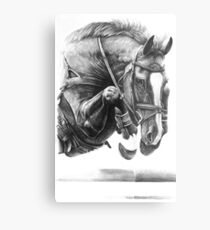 Fangluft - Springpferd Metallbild