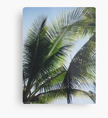 Tropic Metal Print