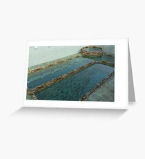 The Pool - 1 Greeting Card