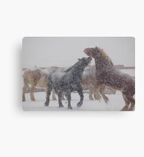 Playing in the Snow Canvas Print