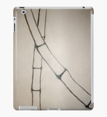 Minimalist Sumi-E iPad Case/Skin