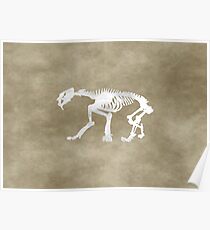 Smilodon Poster