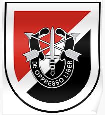 6th Special Forces Poster